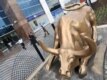 در شهر اسلام آباد در پاکستان