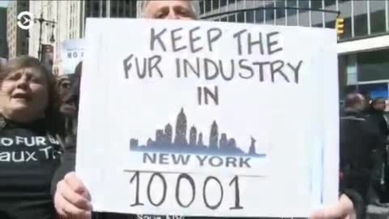  ����� ���-����� ��� ������ 2020 