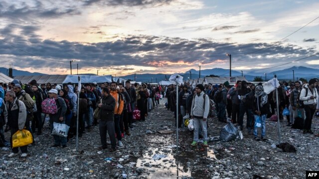 مهاجران و پناهجویان در انتظار قطار در جنوب مقدونیه