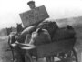 Так начинался Голодомор. Украина, 1933 год.