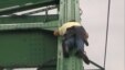 A Serbian news report shows a man sleeping precariously on a bridge over the Sava River in Belgrade. 