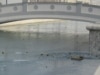 Ashgabat Residents Turn Up Noses At Smelly Artificial River