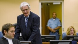 Radovan Karadžić pred Haškim tribunalom, 16. oktobar 2012.