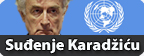 Radovan Karadzic