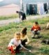 227 მაკა გოგალაძე: უსათაურო