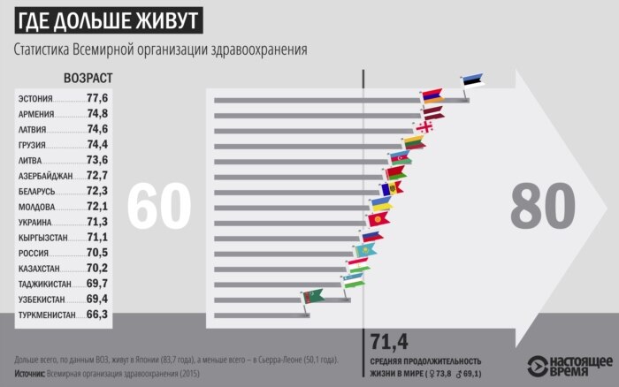 Инфографика