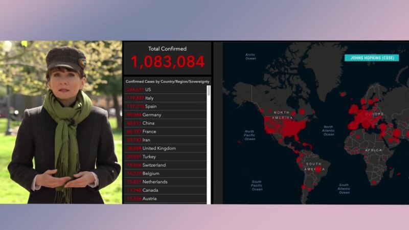 �����: ���������� ���������