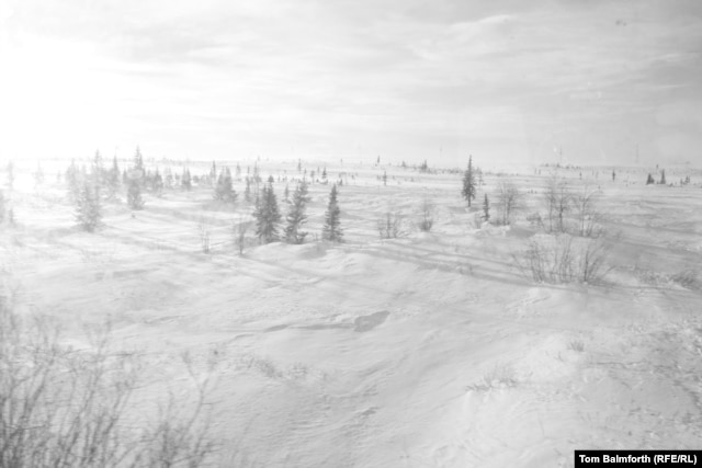 "We haven’t yet crossed out of the taiga into the tundra, as there are still trees."