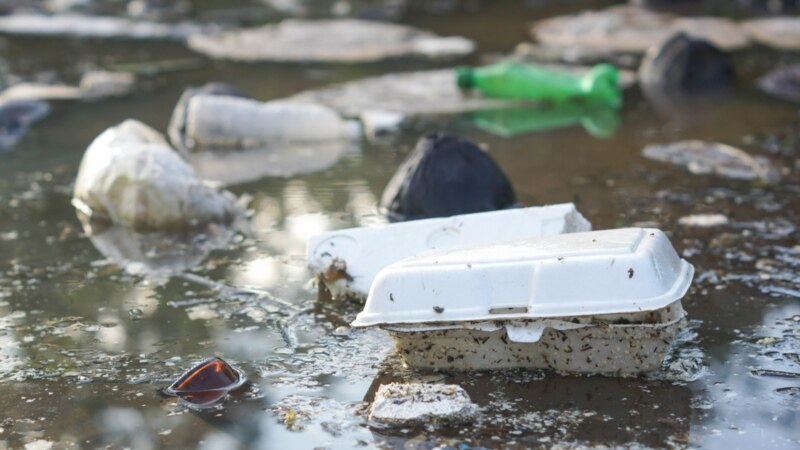 В двух водоемах Дагестана обнаружены 25 тысяч кубометров плавучего мусора