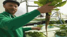 بشار حمیض روزنامهنگار اردنی و ماشین آزادی