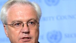 Russian UN Ambassador Vitaly Churkin addresses the council.