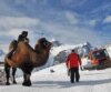 Apropos Of Nothing: Chekessian Ski Camel