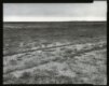 Tire tracks and seashells share a piece of land where the Aral Sea once stood