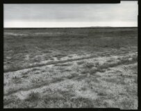 The former Aral Sea seabed (copyright Radek Skrivanek-www.radekphoto.com) (Courtesy Photo)