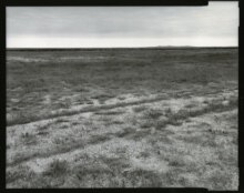 Central Asia -- DO NOT USE; Skrivanek02, Radek; Aral Sea, tire tracks and seashells