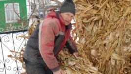 Fermier din Drochia