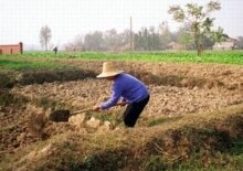 China -- rural life