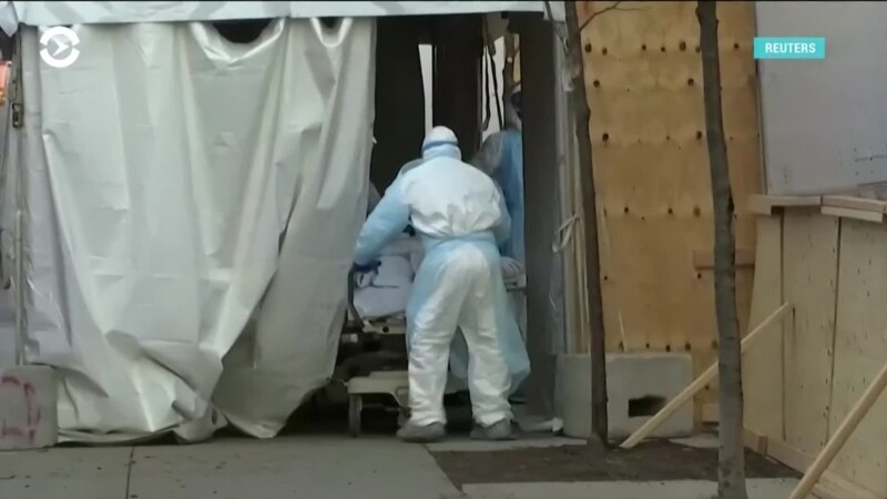 �������: ����� �� �����������