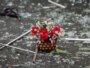 A basket of flowers left in memory of the victims at the suicide bomb blast site in Vladikavkaz