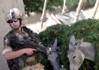 A NATO soldier in Afghanistan (epa)