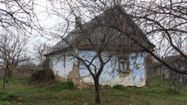 La Coșnița