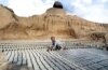 Afghan Kids Working In Brick Kilns