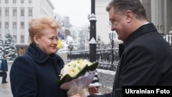 Lithuanian President Dalia Grybauskaite and her Ukrainian counterpart, Petro Poroshenko, meet in Kyiv on November 24.