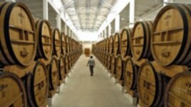Moldova's wine industry is integral to its GDP
