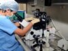 Ukraine Surrogacy Boom Not Risk-Free