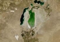 The Aral Sea has recovered slightly since this satellite image was taken in 2004 (epa)