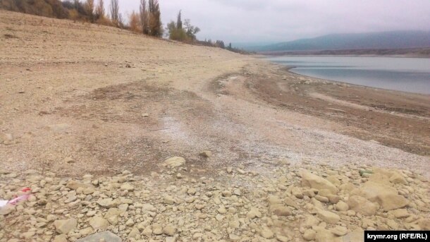 В кримському водосховищі загинули молюски, які очищували воду - фото 1