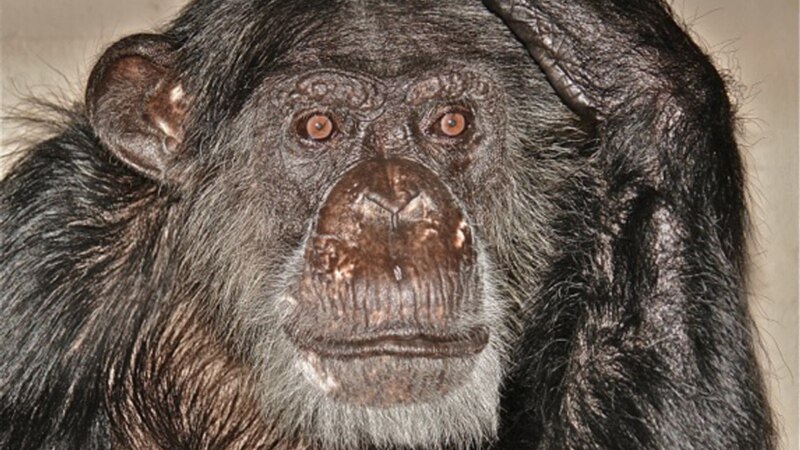  ������ ��������� 