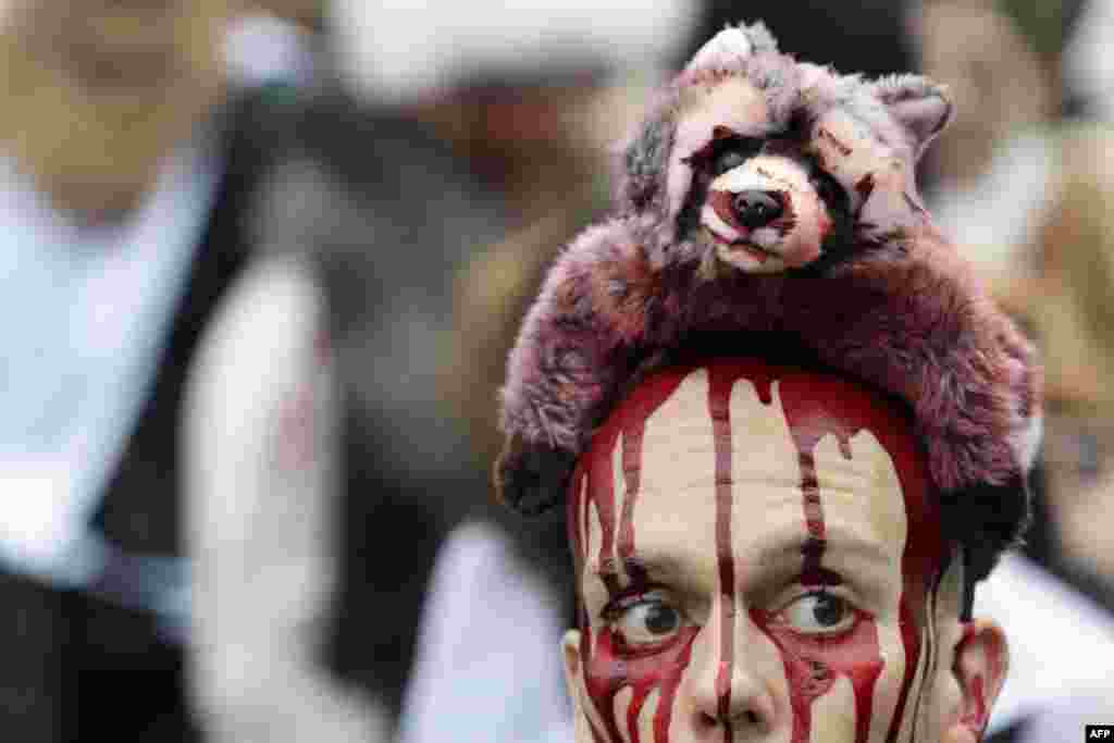 An activist covered in fake blood with a toy raccoon on his head protests on November 24 during an antifur demonstration in Paris. (AFP/Kenzo Tribouillard)