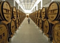 The Kvint Distillery, producer of Moldovan wine, cognac, and other liquors (ITAR-TASS)