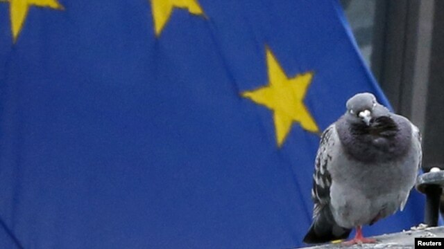 Zastava Evropske unije