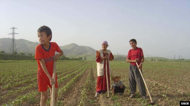 Tajikistan says it needs $260 million to fund its poverty-reduction program. The Ernst & Young audit's findings could put the country's ability to secure foreign investment.