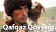 Qafqaz qovşağı - Cənubi Qafqaz ölkələrində vətəndaş aviasiyasının durumu