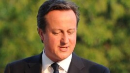 British Prime Minister David Cameron (file photo)