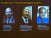 Nobel Dilemma After Prizewinner Dies