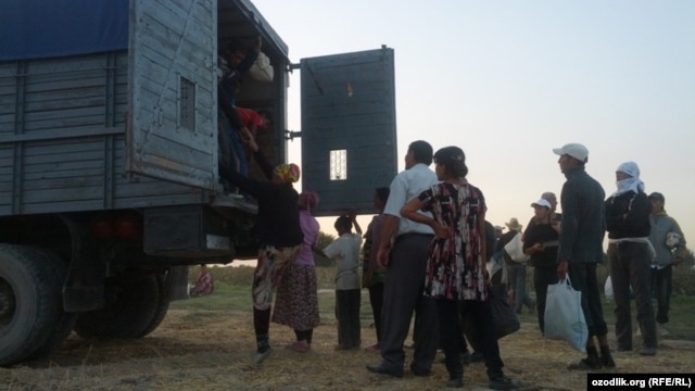 Students being transported in the back of trucks to pick cotton in Uzbekistan's Jizzakh region, 6Sep2012
