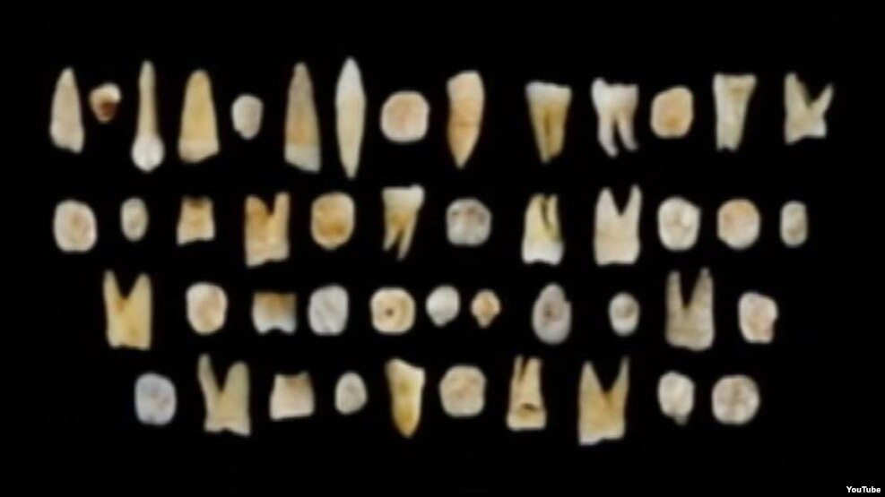 دندان‌های کشف شده در چین