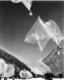From 1953 to 1956, due to jammed signals, RFE floated balloons filled with news reports over the Iron Curtain.