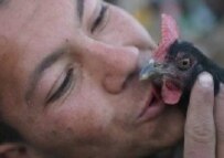An Afghan boy kisses a chicken in a market in Jalalabad, March 15 (epa)