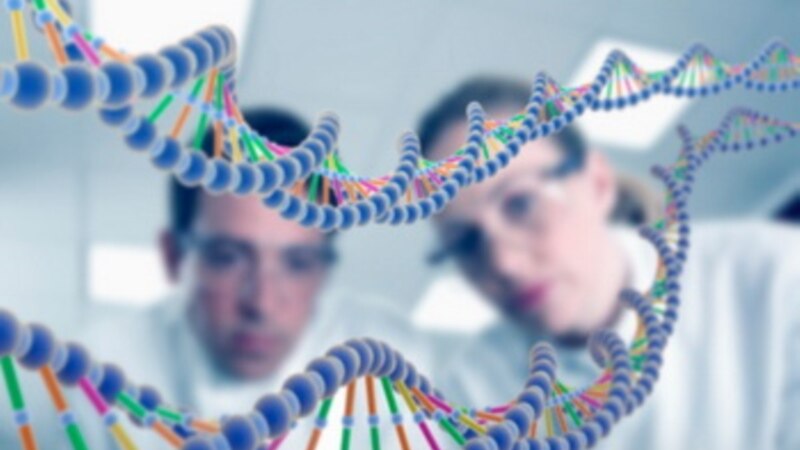  ������������ ������ 