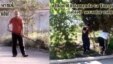 Təmizlik işləri görərkən çəkilmiş şəkillər