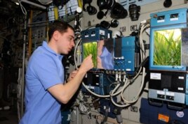 Космонавт Сергей Волков и оранжерея Лада-01 на МКС