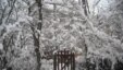 Акс аз Ҳафиз Қаландаров, блогнависи тоҷик