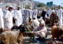 Animals will be sacrificed to mark Eid Al-Adha