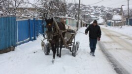 La Cucoara