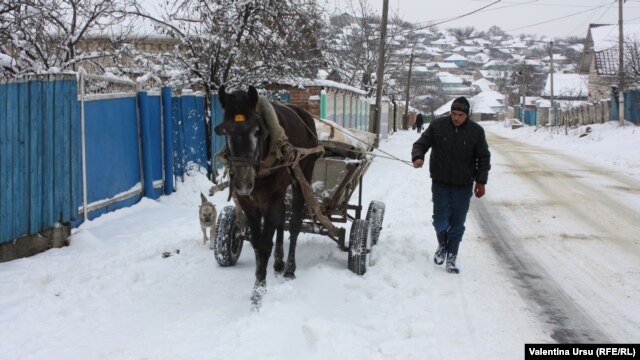 La Cucoara
